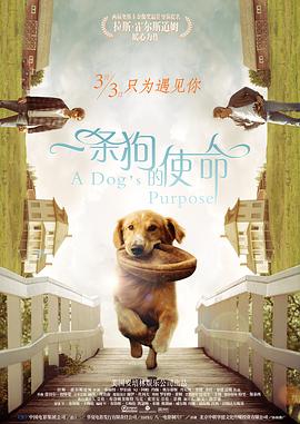 色吊丝一区二区